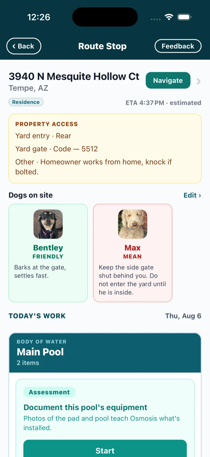 Arriving already knowing the pool: access codes, which dog is friendly and which is not, today’s work
